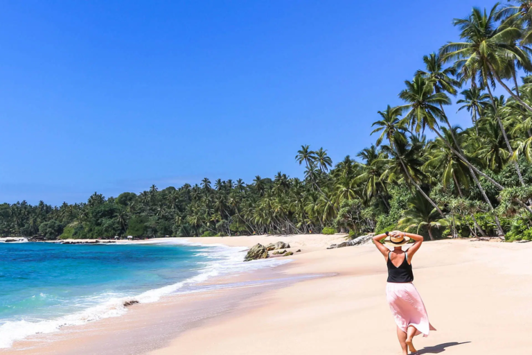 The Ultimate Sri Lanka Travel Guide: Everything in One Place